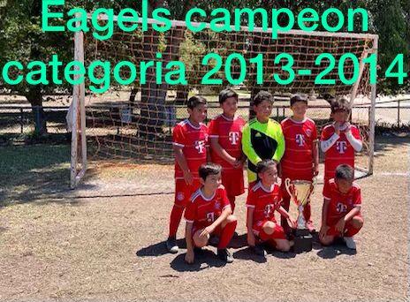 EAGELS 2013